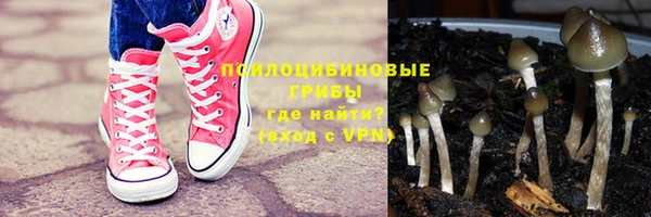 Альфа ПВП Алзамай
